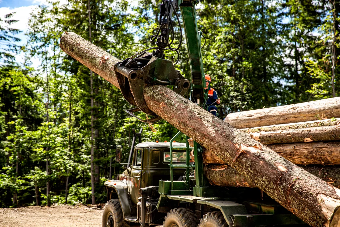 forest-industry-wheelmounted-loader-timber-grab-felling-treescut-trees-forest-cutting-area-forest-protection-concept-lumberjack-with-modern-harvester-working-forest